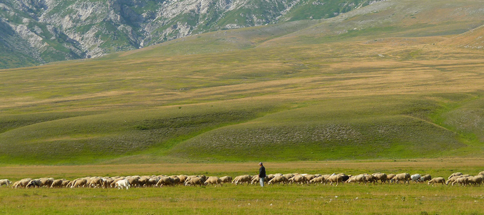 Agricoltori Custodi della Terra