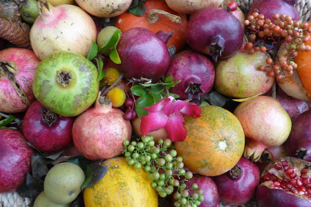 Agricoltori Custodi della Terra
