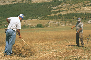 Agricoltori Custodi della Terra