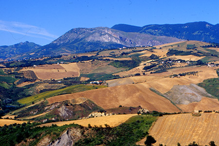 Agricoltori Custodi della Terra