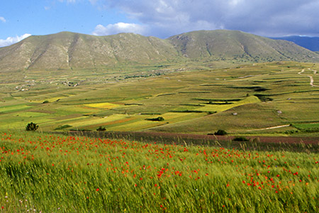 Agricoltori Custodi della Terra