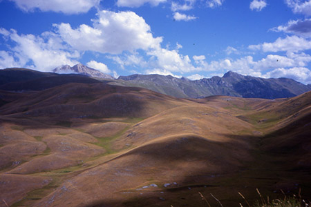 Agricoltori Custodi della Terra