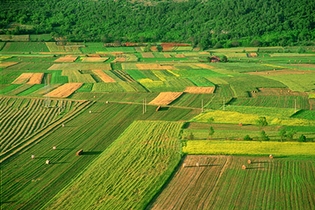 Agricoltori Custodi della Terra